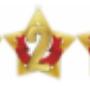 MEDALLAS DE 1RO 2DO Y 3ER LUGAR