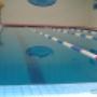 Subido por visitante en 09/12/2016 - Alberca Escuela Natacion CDMX