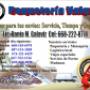 Subido por visitante en 30/12/2016