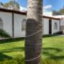 Salón&Jardín de fiestas y Eventos sociales Morelia