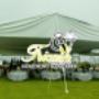 Subido por visitante en 17/01/2017 - Carpa