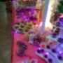 Subido por visitante en 17/01/2017 - Mesa De Dulces