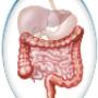 logo gastroenterologo tijuana