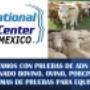 Pruebas ADN en Animales