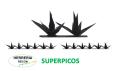 Superpicos