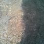 REMUEVE GRASA Y MUGRE DE PISOS