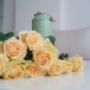 Rosas