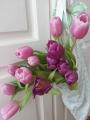 Flores