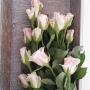 Subido por visitante en 12/03/2017 - rosas