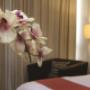 Double room No somoking
