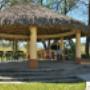 Palapa