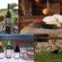 Cheese and wine route