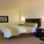 King Guest Room