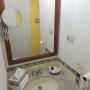 Vanity area
