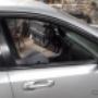 Subido por visitante en 26/02/2018