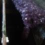 SULFATO DE COBRE PENTAHIDRATADO