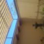 Subido por visitante en 18/04/2017