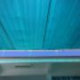 Subido por visitante en 18/04/2017