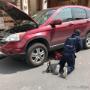 Subido por visitante en 09/05/2017
