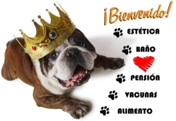 Unidad Veterinaria Metropolitana