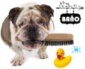 BAÑO CANINO