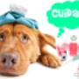 Subido por visitante en 12/05/2017