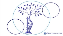 Traumatología y Ortopedia Jardines del Bosque