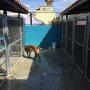 Subido por visitante en 01/06/2017 - Espacios limpios y seguros para tu mascota