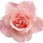 Arreglos florales DF