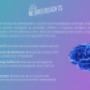 Servicios Frsko NeuroInsights