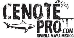Cenotepro