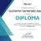 Consultor-Certificado