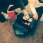 Subido por visitante en 18/07/2017 - Botiquines
