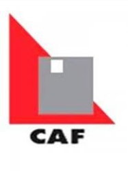 TECHOS DE ACERO CAF, S.A. DE C.V.
