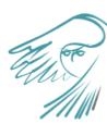 E & C Consulting Firm