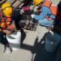 Subido por visitante en 02/03/2018 - Fabricación de empaques de Nitrilo grado Trasnformador