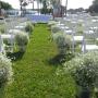 Boda Civil CD del Carmen