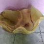 Subido por visitante en 23/08/2017 - charolas rusticas