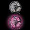 Tira-LED-Interior-Rosa-5