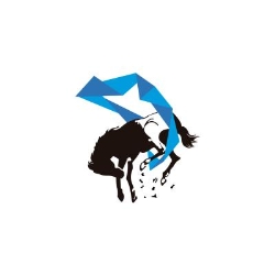 Equus Labs - Diseño Web