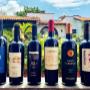 vinos mexicanos