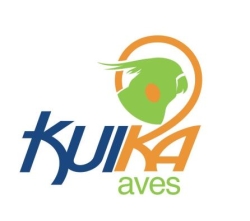 Kuika aves