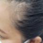 Proceso shampoo herbol