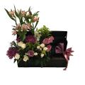 Rosas en Cajas