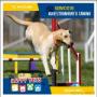 Subido por visitante en 18/10/2017 - Adiestramiento Canino