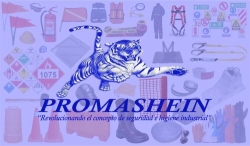 Seguridad Industrial PROMASHEIN