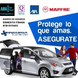 Seguros Villaseñor y Asociados