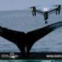 Subido por visitante en 26/10/2017 - Venta de Drones - Omega Drone