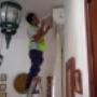 Subido por visitante en 18/11/2017
