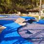 Subido por visitante en 22/11/2017